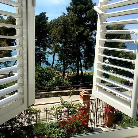 Appartamento Central Beach Nikki